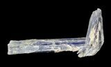 Vibrant Blue Kyanite Crystal - Brazil #56944-1